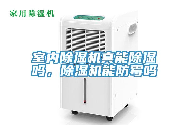 室內91看片软件大全真能除濕嗎，91看片软件大全能防黴嗎