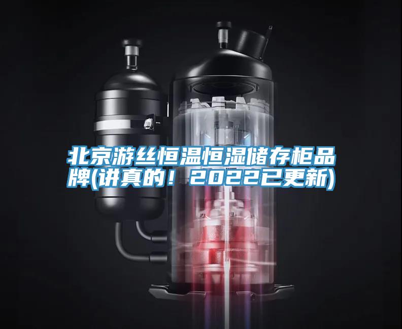 北京遊絲恒溫恒濕儲存櫃品牌(講真的！2022已更新)