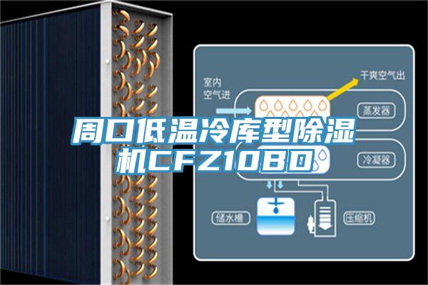 周口低溫冷庫型91看片软件大全CFZ10BD