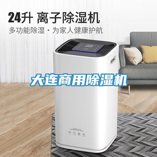 大連商用91看片软件大全