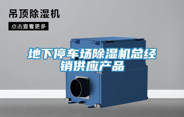 地下停車場91看片软件大全總經銷供應產品
