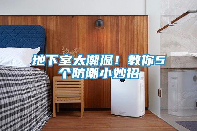 地下室太潮濕！教你5個防潮小妙招