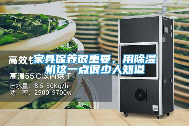 家具保養很重要，用91看片软件大全這一點很少人知道