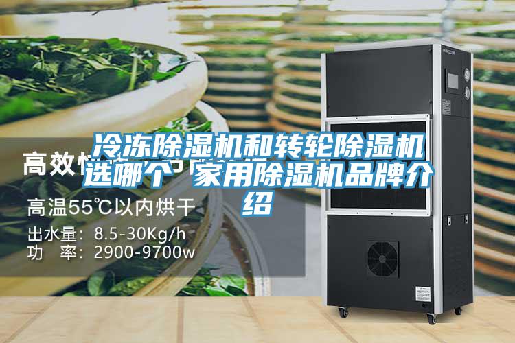 冷凍91看片软件大全和轉輪91看片软件大全選哪個 家用91看片软件大全品牌介紹
