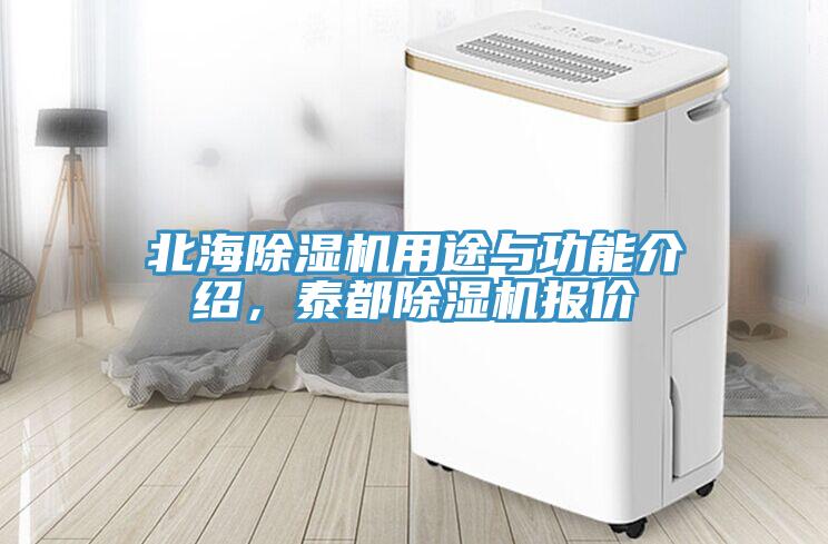 北海91看片软件大全用途與功能介紹，泰都91看片软件大全報價