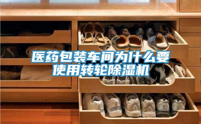 醫藥包裝車間為什麽要使用轉輪91看片软件大全