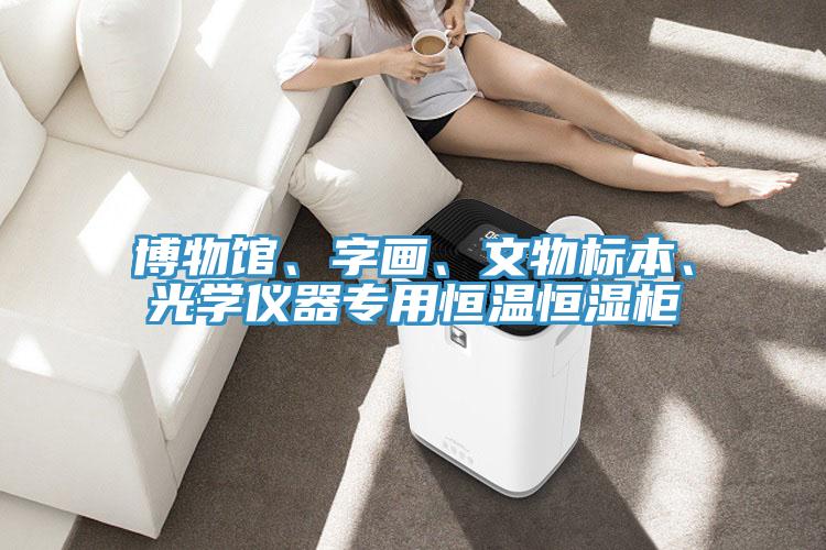 博物館、字畫、文物標本、光學儀器專用恒溫恒濕櫃