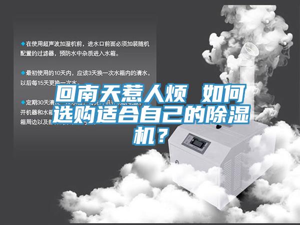 回南天惹人煩 如何選購適合自己的91看片软件大全？