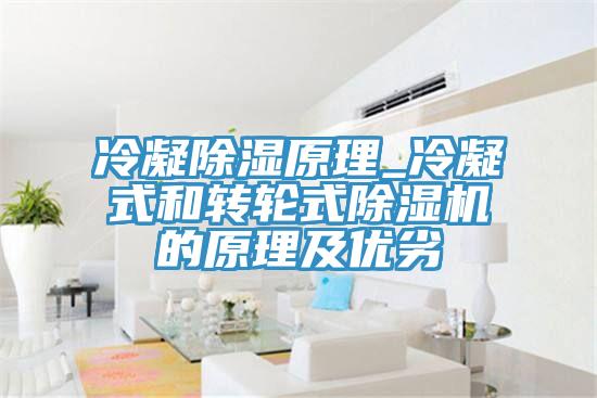 冷凝除濕原理_冷凝式和轉輪式91看片软件大全的原理及優劣