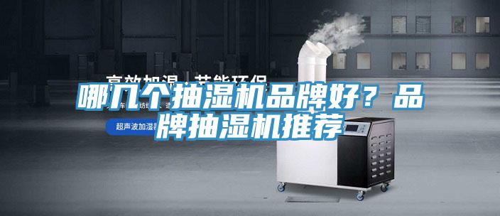 哪幾個抽濕機品牌好？品牌抽濕機推薦