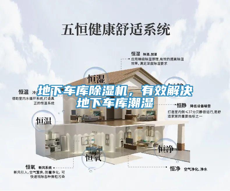 地下車庫91看片软件大全，有效解決地下車庫潮濕
