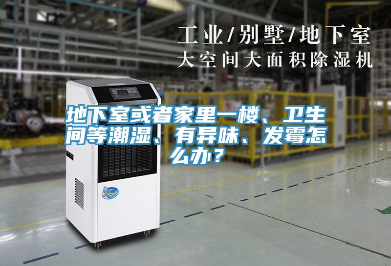地下室或者家裏一樓、衛生間等潮濕、有異味、發黴怎麽辦？