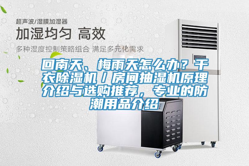 回南天、梅雨天怎麽辦？幹衣91看片软件大全／房間抽濕機原理介紹與選購推薦，專業的防潮用品介紹