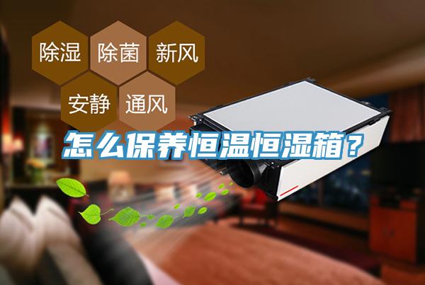 怎麽保養恒溫恒濕箱？