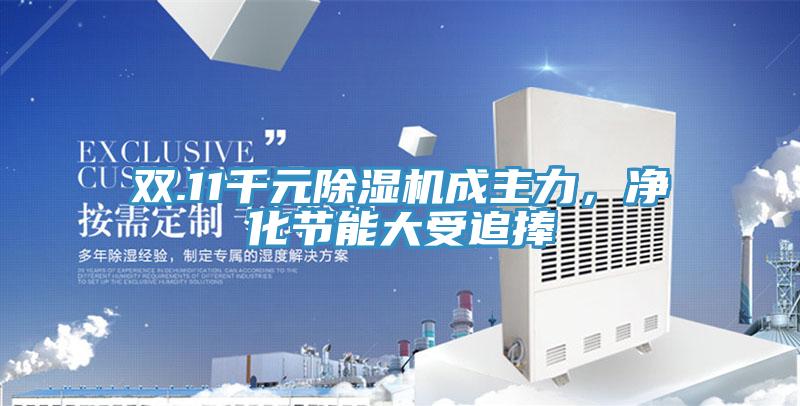 雙.11千元91看片软件大全成主力，淨化節能大受追捧