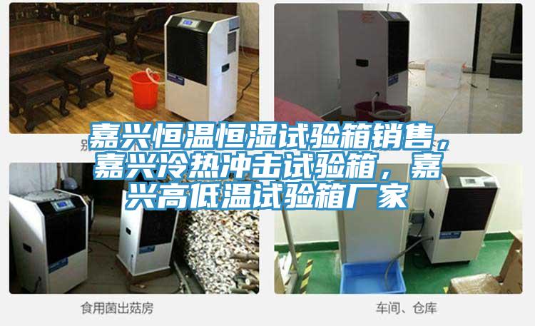 嘉興恒溫恒濕試驗箱銷售，嘉興冷熱衝擊試驗箱，嘉興高低溫試驗箱廠家