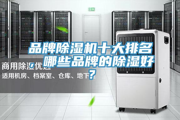 品牌91看片软件大全十大排名，哪些品牌的除濕好？