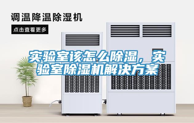 實驗室該怎麽除濕，實驗室91看片软件大全解決方案