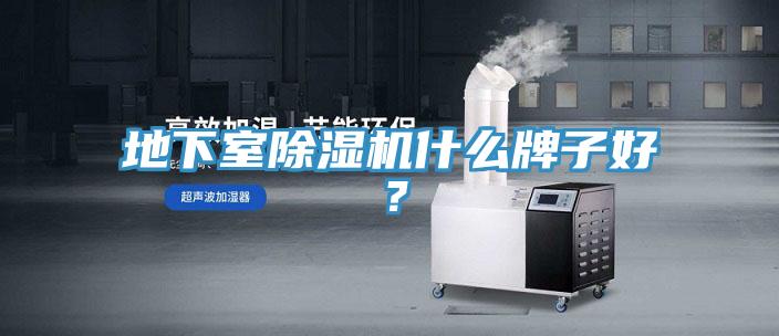 地下室91看片软件大全什麽牌子好？
