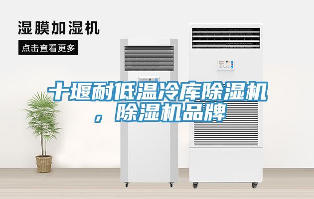 十堰耐低溫冷庫91看片软件大全，91看片软件大全品牌