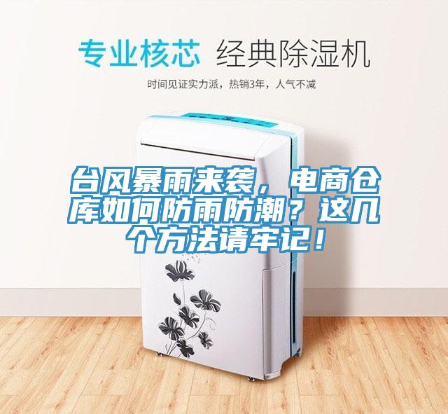 台風暴雨來襲，電商倉庫如何防雨防潮？這幾個方法請牢記！