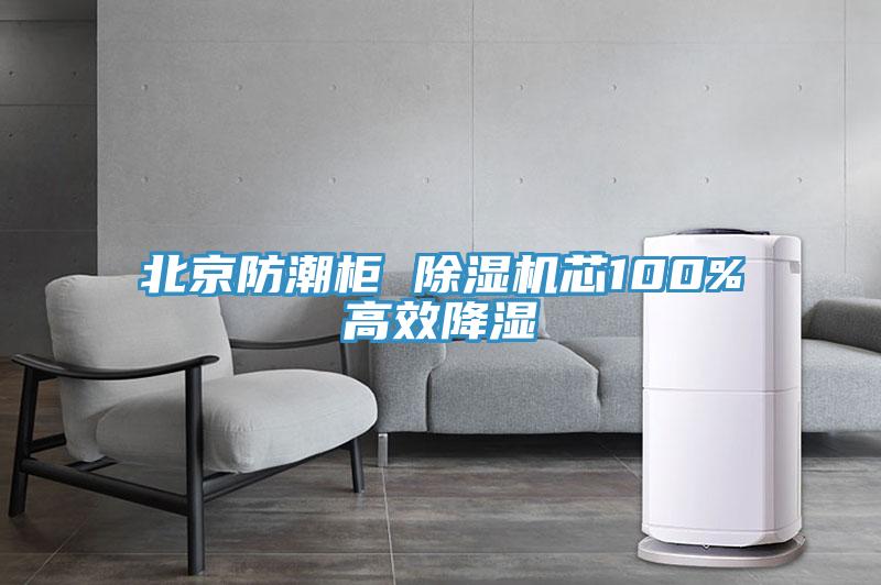北京防潮櫃 91看片软件大全芯100%高效降濕