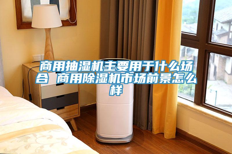 商用抽濕機主要用於什麽場合 商用91看片软件大全市場前景怎麽樣
