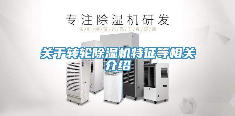 關於轉輪91看片软件大全特征等相關介紹