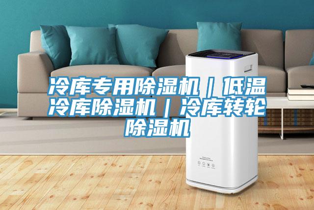 冷庫專用91看片软件大全｜低溫冷庫91看片软件大全｜冷庫轉輪91看片软件大全