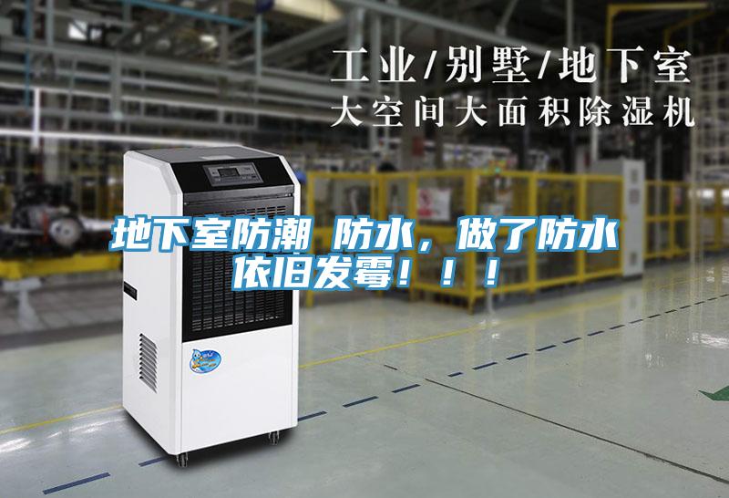 地下室防潮≠防水，做了防水依舊發黴！！！