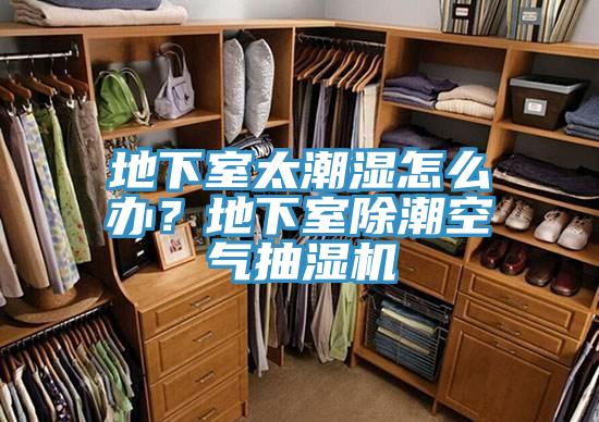 地下室太潮濕怎麽辦？地下室除潮空氣抽濕機