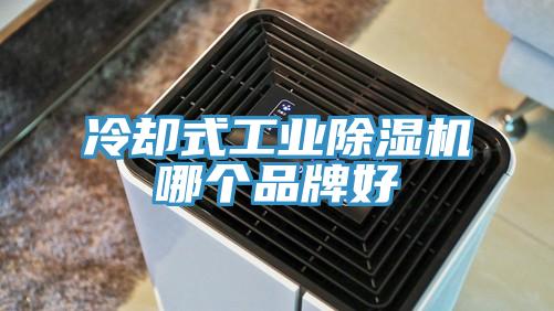 冷卻式工業91看片软件大全哪個品牌好