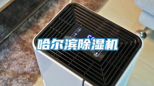 哈爾濱91看片软件大全