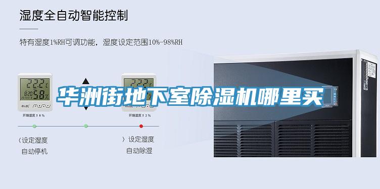 華洲街地下室91看片软件大全哪裏買