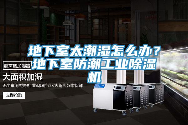 地下室太潮濕怎麽辦？地下室防潮工業91看片软件大全