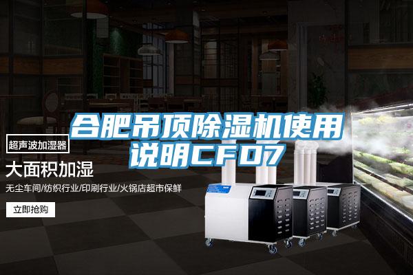 合肥吊頂91看片软件大全使用說明CFD7