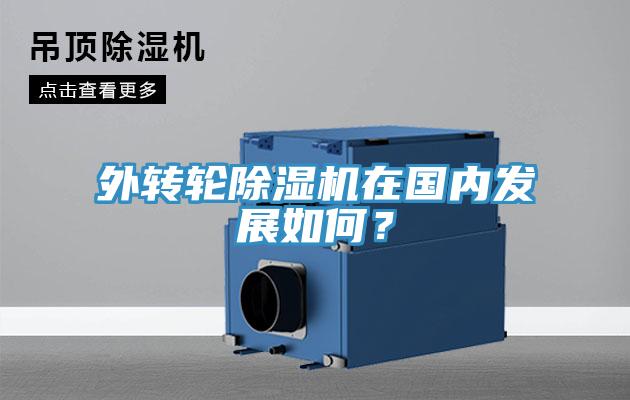 外轉輪91看片软件大全在國內發展如何？