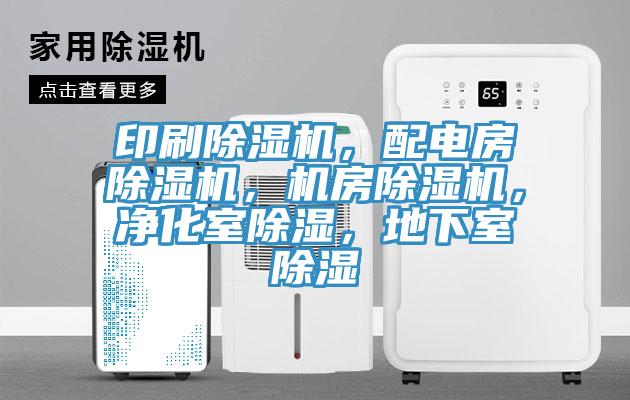 印刷91看片软件大全，配電房91看片软件大全，機房91看片软件大全，淨化室除濕，地下室除濕