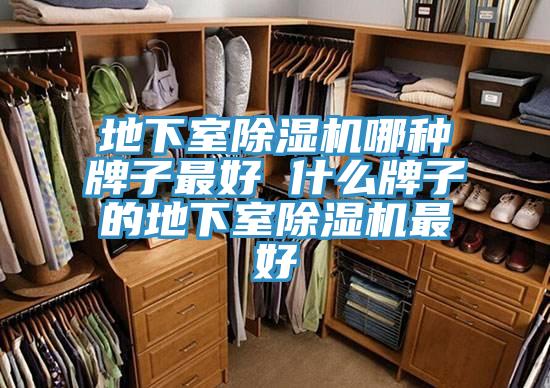 地下室91看片软件大全哪種牌子最好 什麽牌子的地下室91看片软件大全最好