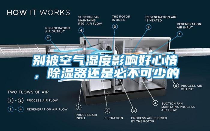 別被空氣濕度影響好心情，除濕器還是必不可少的