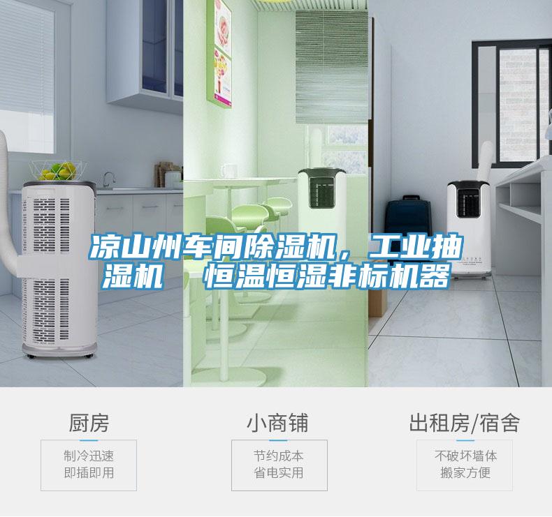 涼山州車間91看片软件大全，工業抽濕機  恒溫恒濕非標機器