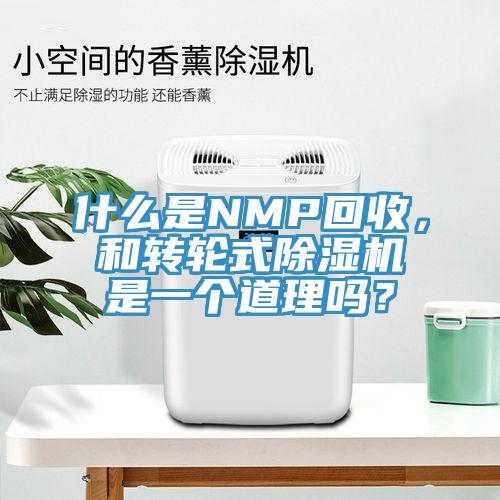 什麽是NMP回收，和轉輪式91看片软件大全是一個道理嗎？