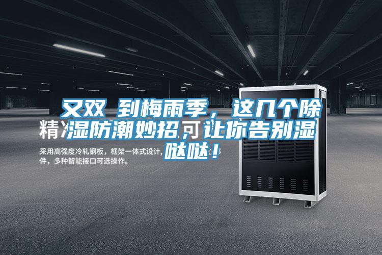 又雙叒到梅雨季，這幾個除濕防潮妙招，讓你告別濕噠噠！