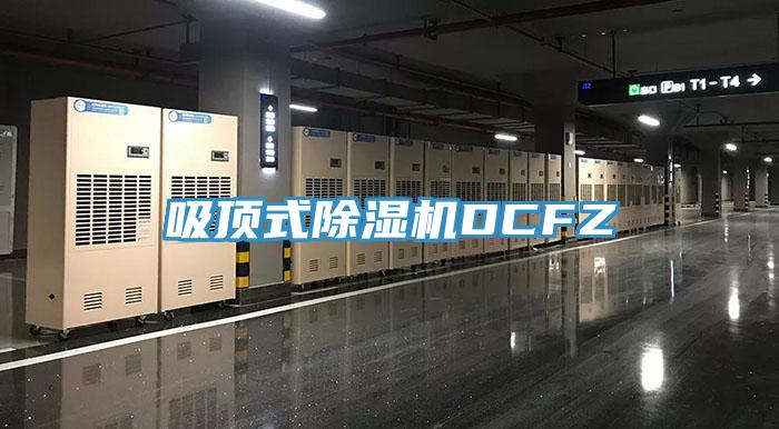 吸頂式91看片软件大全DCFZ