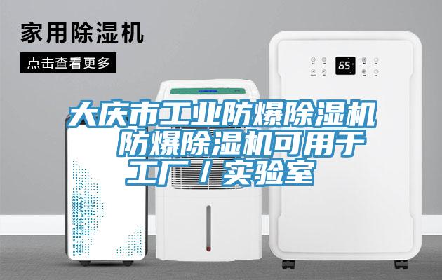 大慶市工業防爆91看片软件大全  防爆91看片软件大全可用於工廠／實驗室
