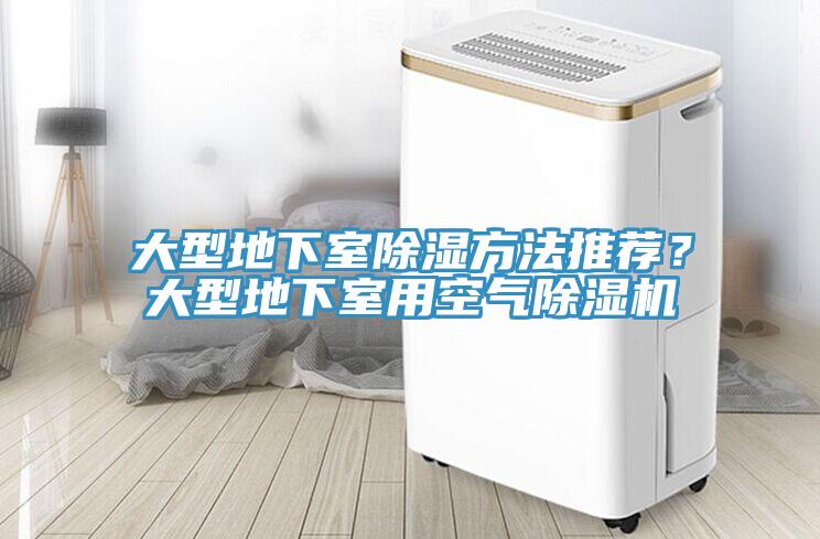 大型地下室除濕方法推薦？大型地下室用空氣91看片软件大全