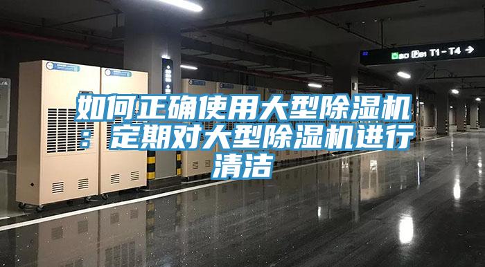 如何正確使用大型91看片软件大全：定期對大型91看片软件大全進行清潔