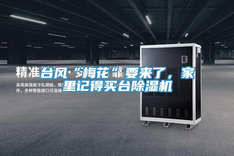 台風“梅花”要來了，家裏記得買台91看片软件大全