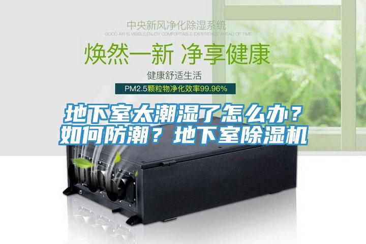 地下室太潮濕了怎麽辦？如何防潮？地下室91看片软件大全