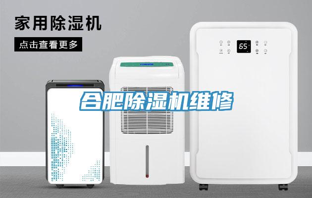 合肥91看片软件大全維修